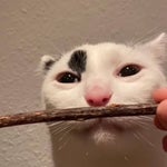 Student with voice changer, only voice part