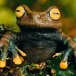 Recording 03/18/26 21:39:02