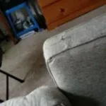 Recording 12/12/25 17:54:06 (copy)