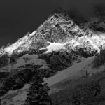 - Miraj Tzunami - Asu nr 5