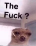 Look at this dude memeasdasd