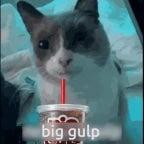 big gulpy