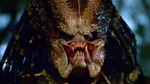 Predator Roar