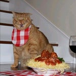 Made in Ohio goofy ah