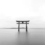 Where is my burger phonk