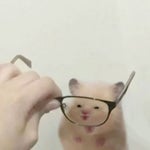 AND A BLACK SANTA NAPKIN!