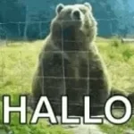 hallo