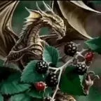 blackberry dragon