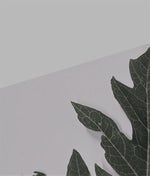 no church i n the wild