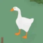 GOOSE HONK