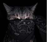 I can teach you guys how to ride something PRETTY BIG