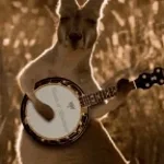 zoochosis wallaby jumpscare