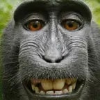 tHaNk YoU fOr FlYiNg rYaNaIr