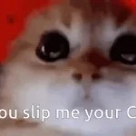 cashflow baba hayata küstümm