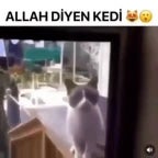 allah-diyen-kurt-adam