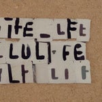 we lige , we love , we lie