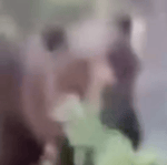 Guys, is that a freddy fazbear?