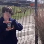 Number 19, Mouse in Baked Beans