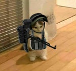 Reserve Alarm - Sound