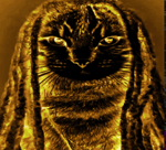 evil ryder gooner - Sound