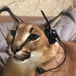 The Rock Eyebrow raise sound effect