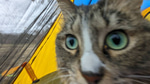 ahhhhhh