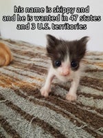 You need head? - Sound