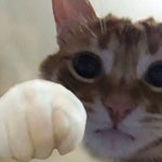 Kurabiye Var Simit Var Neye Bakıyon - Sound