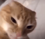 All Video Downloadeer youtube Chinese - Sound