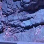 IGUANODONTE ENRIQUE - Sound