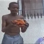 LE BON POULET