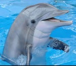 11 号脏话 - Sound