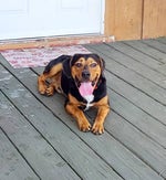 easy street with lyrics walking deadsong