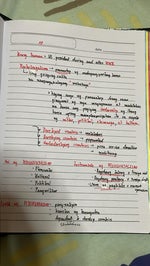 Minecraft Zombie Bruh Sound Effect