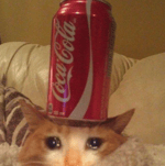 Brr Brr patapin - Sound