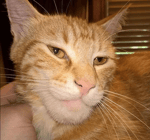 COCO mais là elle est vénère en vrai