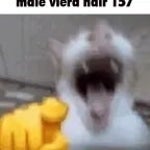 cat-laugh-meme-1