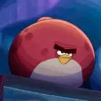angry bird waaa2