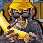 IT COMES IN DENIM - LIL PIGGY (copy)