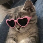 i be poppin' bottles