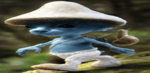 smurf cat we live we love we lie
