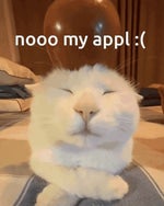 Tripping on Love pt.2