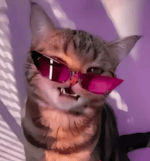 Choqué vilebrequin sylvainlyve