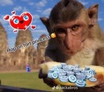 Crackasaurus - Sound