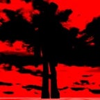 Do you hear the whistle?