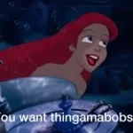 thingamabobs - Sabrina Savage