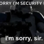 I HAVE THE GUN (copy)