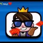 Little Prince annoying Voicelines - Clash Royale (1)