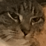 Terarria Empress of light