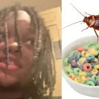 roaches in the cereal